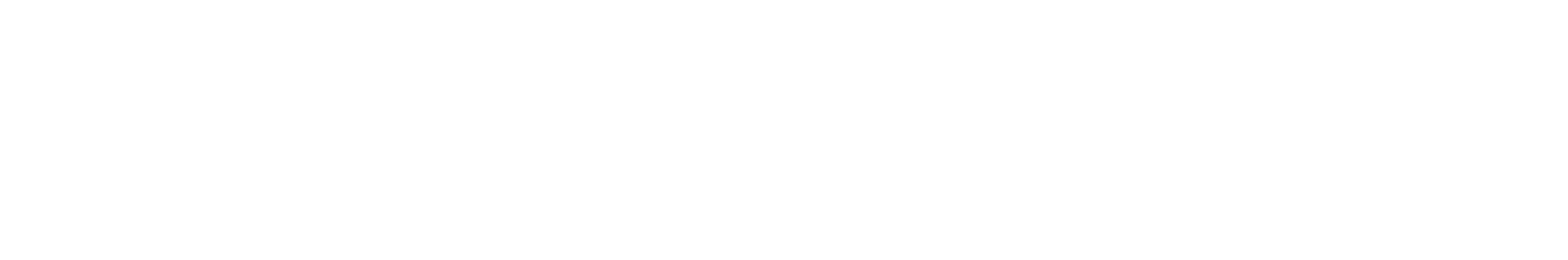 Formula IT logo