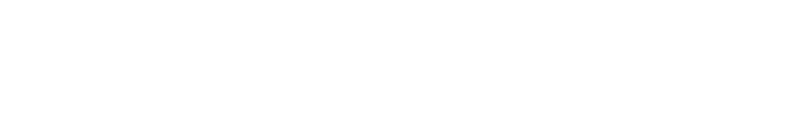 Formula IT logo